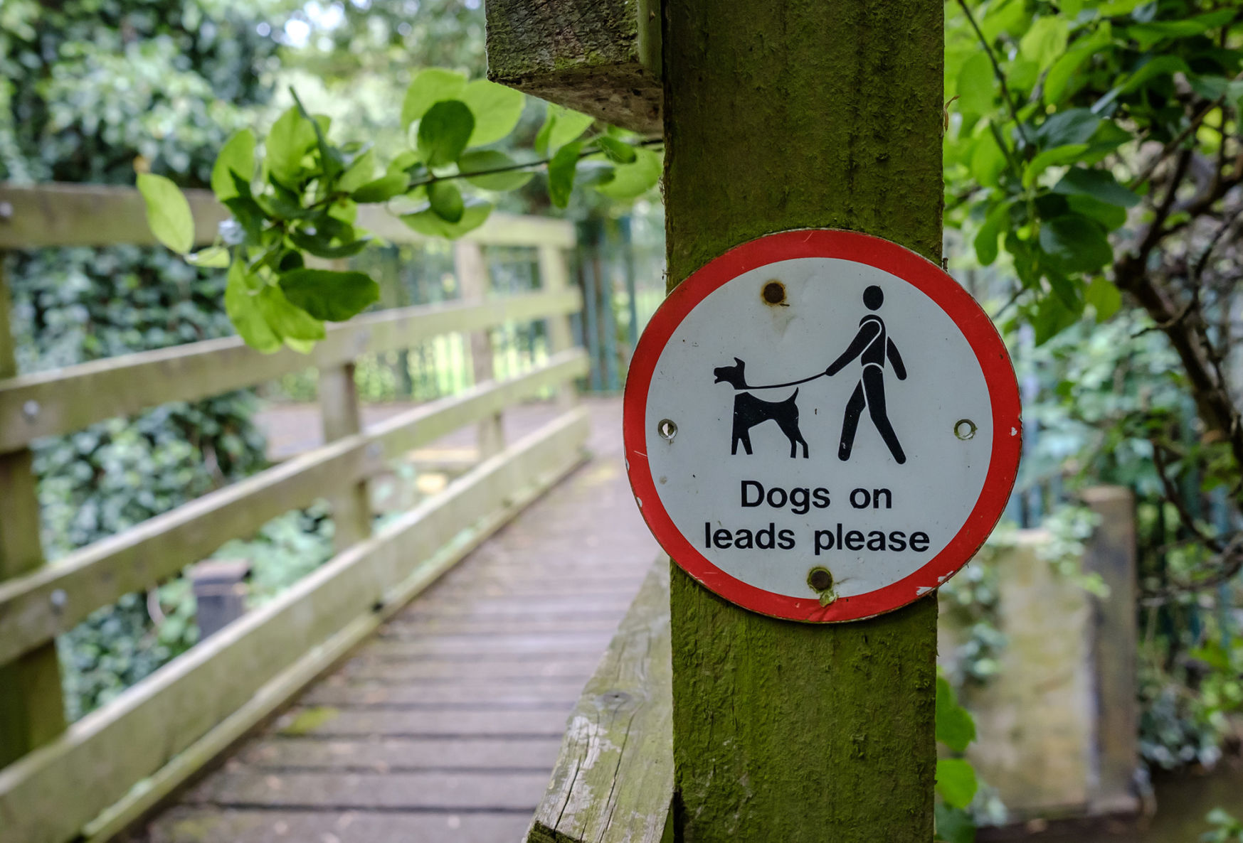 3. Leash laws benefit everyone